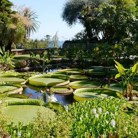 Azzurra Luxe, Front Mer, 4th Floor Of 5, Wifi, Tvsat, Climate Апартаменти