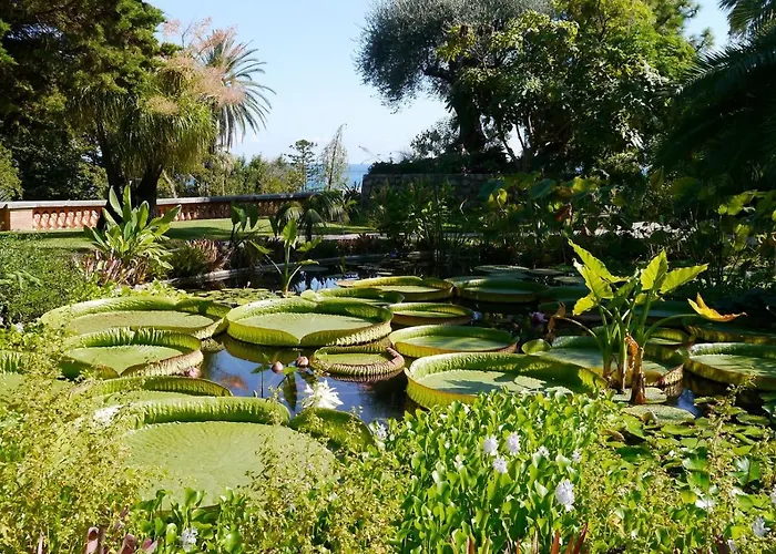 Azzurra Luxe, Front Mer, 4th Floor Of 5, Wifi, Tvsat, Climate Lejlighed